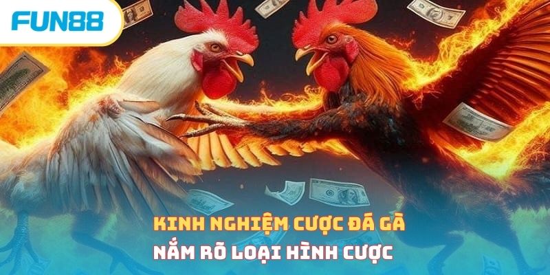 Tổng Hợp 4 Kinh Nghiệm Cược Đá Gà Bất Bại Từ Chuyên Gia Kinh nghiệm cược đá gà - Nắm rõ loại hình cược